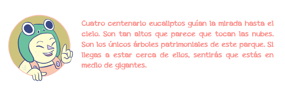 personaje1-las-cuadras