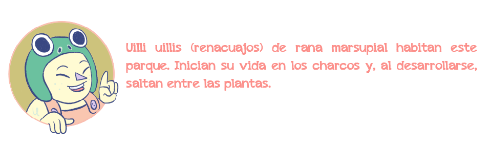 personaje2-las-cuadras