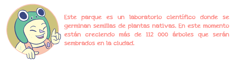 personaje3-las-cuadras